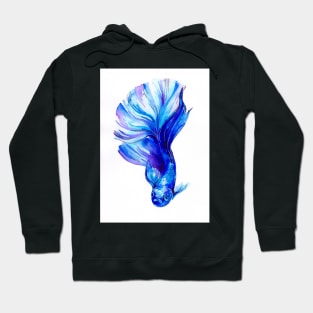 Betta Fish Blue Hoodie